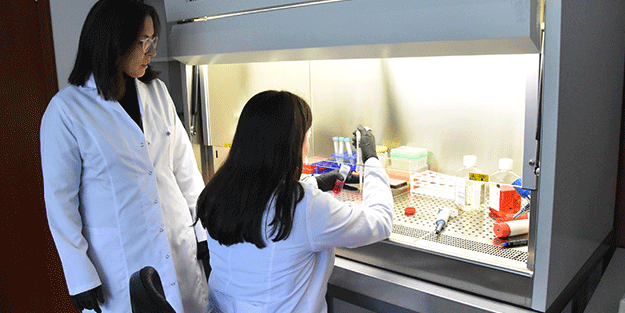 Türk profesör geliştirdi Kanser tedavisinde devrim gibi buluş