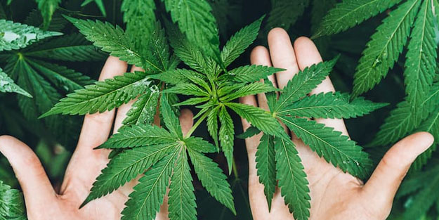 Savunma sanayisinde dışa bağımlılık azalacak: Bitki hamlesi!