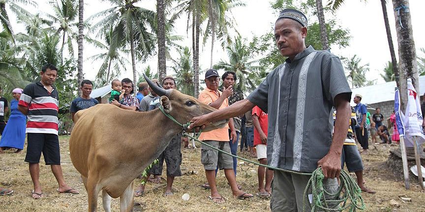 Türk STK'lardan ihtiyaç sahibi ailelere kurban yardımı