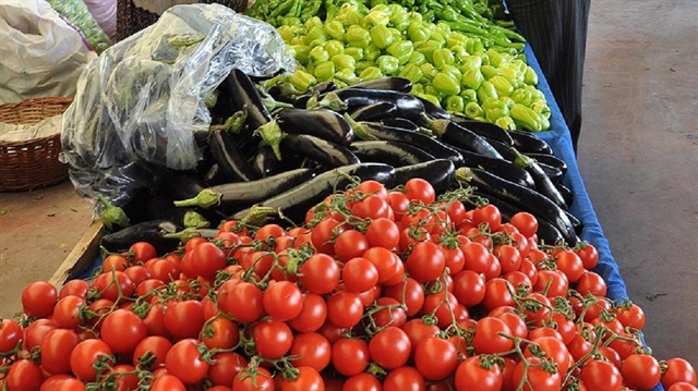 'Türk tarımına yönelik kısıtlamalar Rus halkına zarar veriyor'