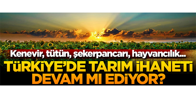 Türk tarımında ihanetler devam mı ediyor? Kenevir, tütün, şekerpancarı, hayvancılık...!?