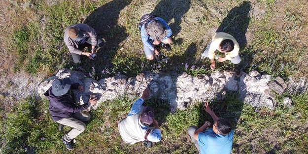 Türk ve Moğol bilim insanları İlhanlı sarayının izini sürüyor