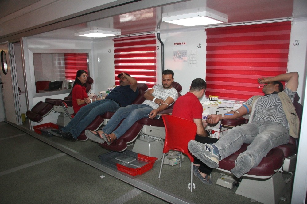 Türk ve Suriyelilerden kan kardeşliği 