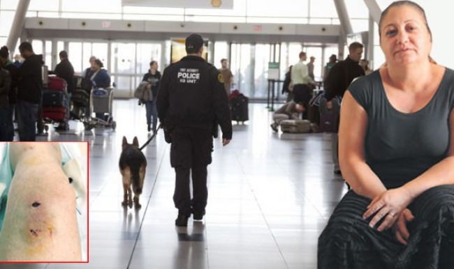 Türk yolcuya polis köpeği saldırdı