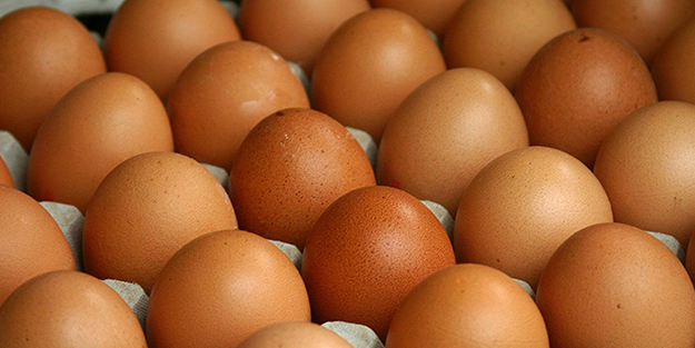 Türk yumurtalarında yasaklı madde tespit edildi! Asya ülkesinden şok eden iddia