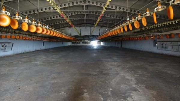 Türkan Demir'in katili için müebbet talebi