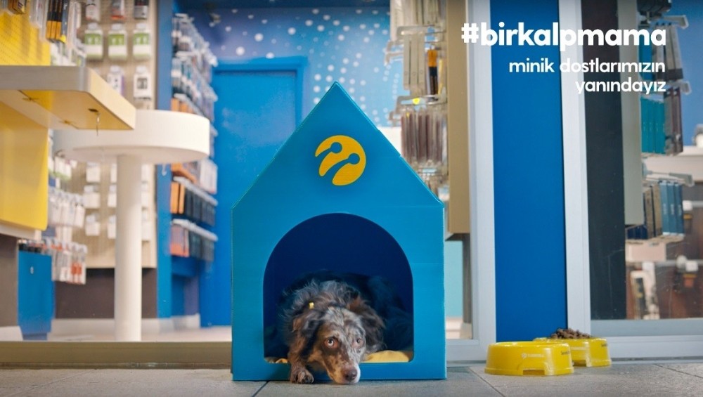 Turkcell’in 1400 mağazası minik dostlara kapılarını açıyor 