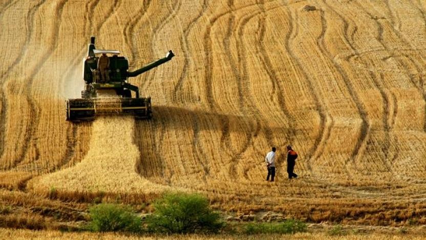 Türkiye 19 tarım ürününün üretiminde dünyada ilk 4'te!