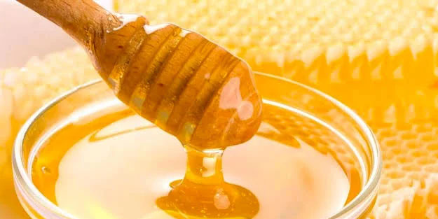 Türkiye, BAE, İngiltere, ABD ve Katar gibi birçok ülkeye bal gönderiliyor!