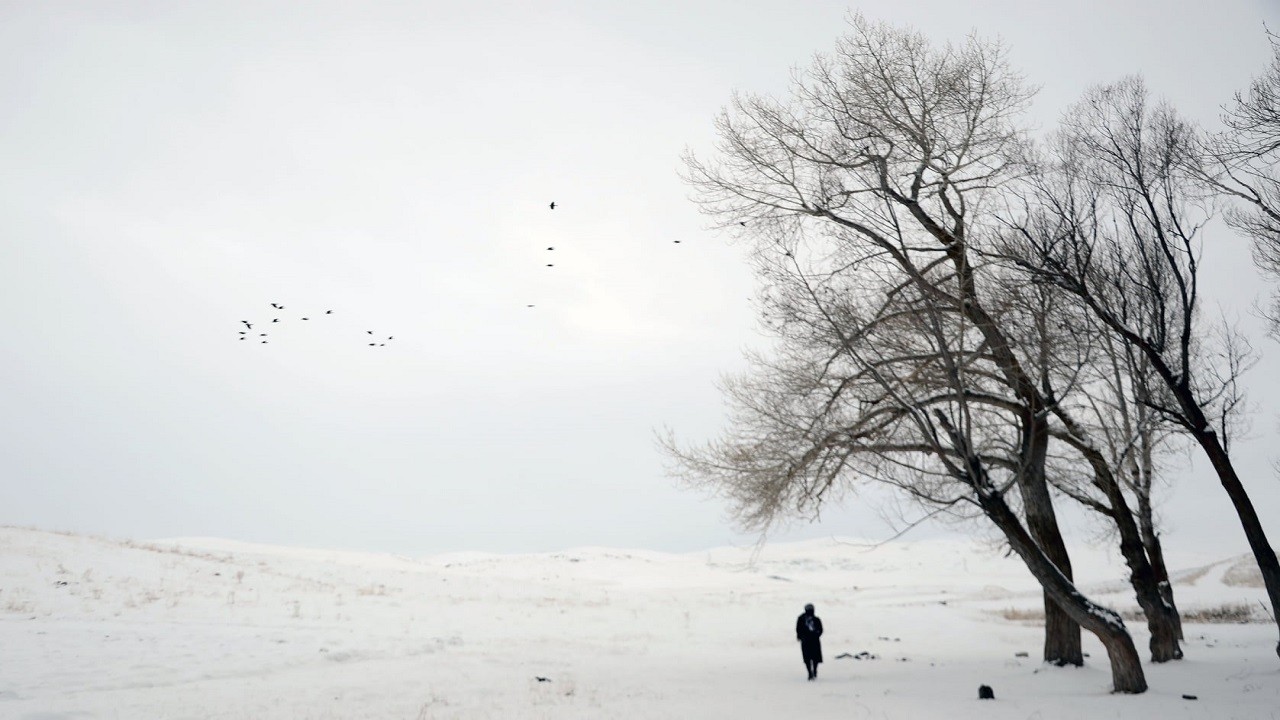 Türkiye buz kesti! O ilimizde termometreler -25.2'yi gösterdi
