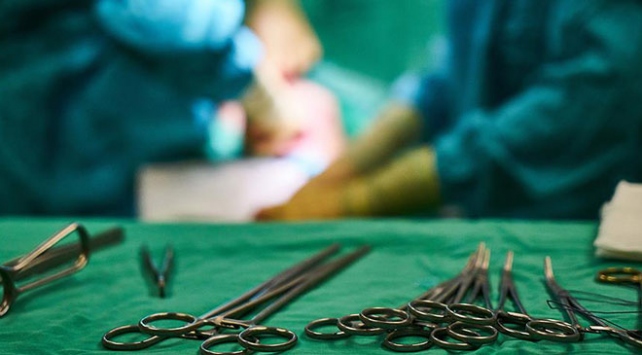 'Türkiye canlıdan böbrek naklinde en tecrübeli ülke'