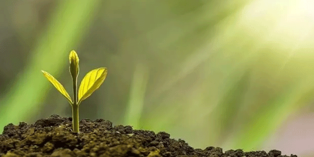 Türkiye Çevre Haftası 'Sıfır Atık' temasıyla kutlanacak