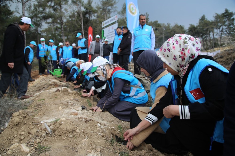 Türkiye Diyanet Vakfı’ndan anlamlı etkinlik! 800 bin fidanı toprakla buluşturacak