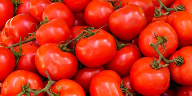 Türkiye dünyanın domates ihtiyacını karşılıyor! Rakamlar sevindirdi ama halk domatesi hep pahalıya yedi