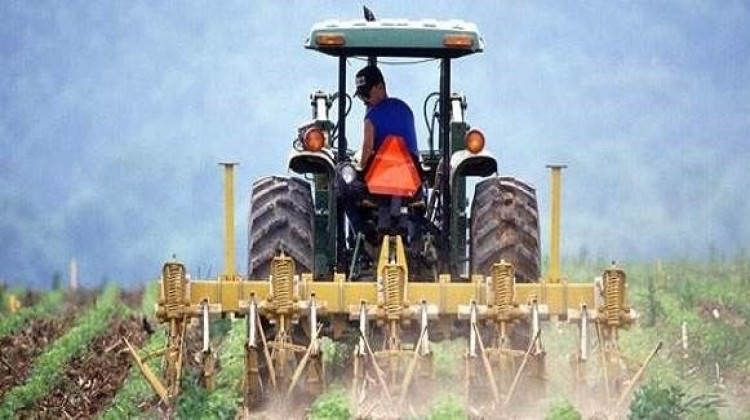 Türkiye ekonomisi için hükümetten dev hamle!