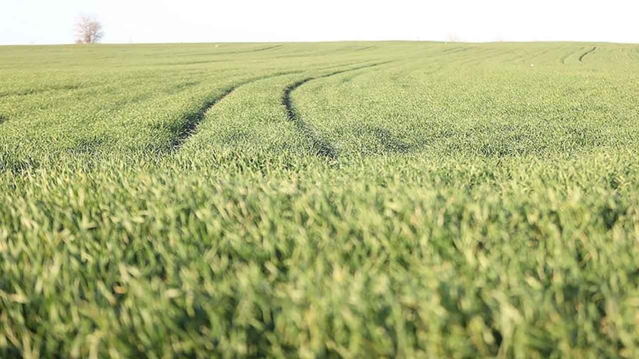 Türkiye en kritik ürünü Rusya'dan almaya başladılar! Rekor düzeyde ithalat