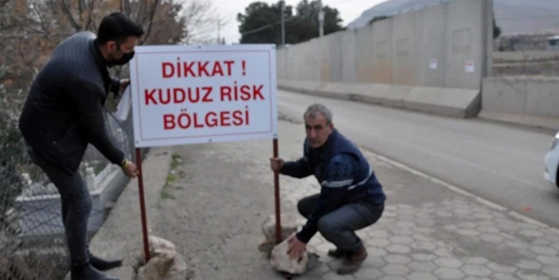 Türkiye en riskli ülkeler arasına girdi! Kuduz vakaları artışta!