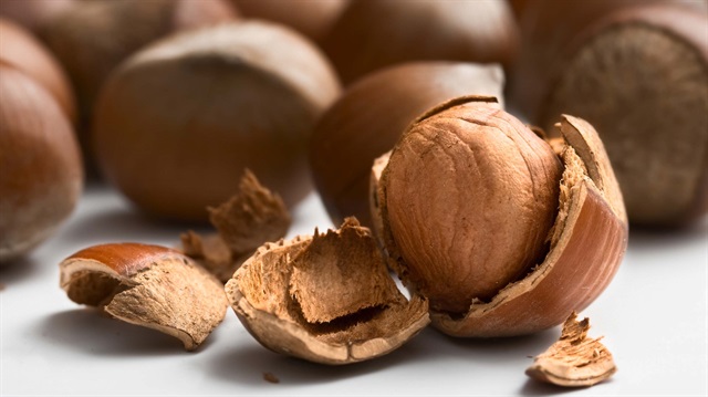 Türkiye fındıkta bir numara