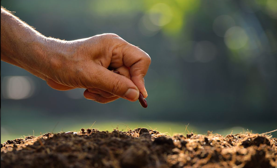 Türkiye hala İsrail’den tohum mu alıyor? Bakan Yumaklı bu soruya ne cevap verdi?