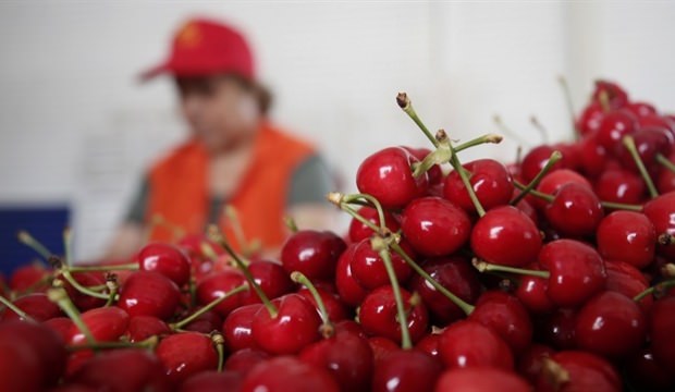 Türkiye harekete geçti! Hedef Amerika'nın payını kapmak