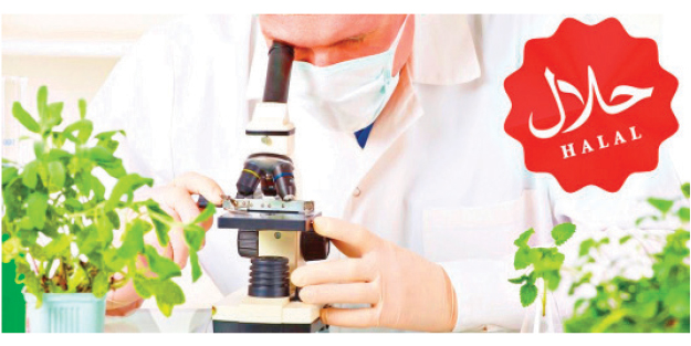 Türkiye helal gıdanın vitrini oldu