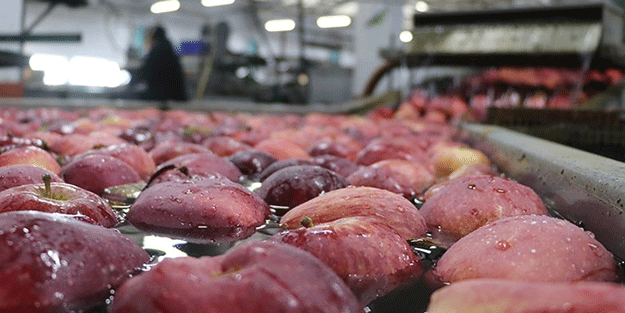 Türkiye için büyük tehlike artık ortada! Hindistan parayı ödemedi, Mısır için düğmeye basıldı