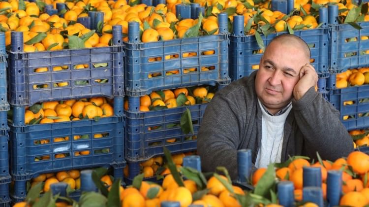 Türkiye için müthiş haber! Yüzde 30 arttı