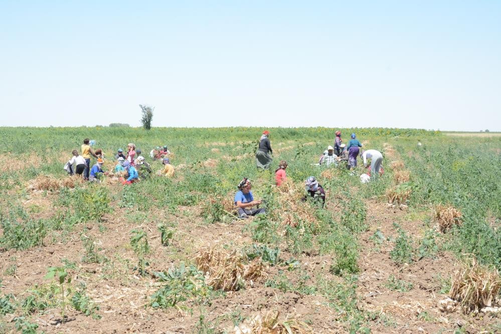 Türkiye ile Almanya arasında bir ilkti! Kapış kapış gidiyordu ama kötü haber geldi