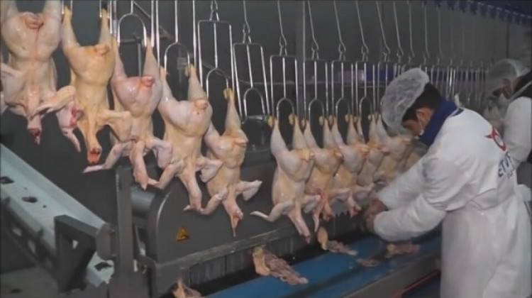 Türkiye ile Japonya arasında dev ticaret!