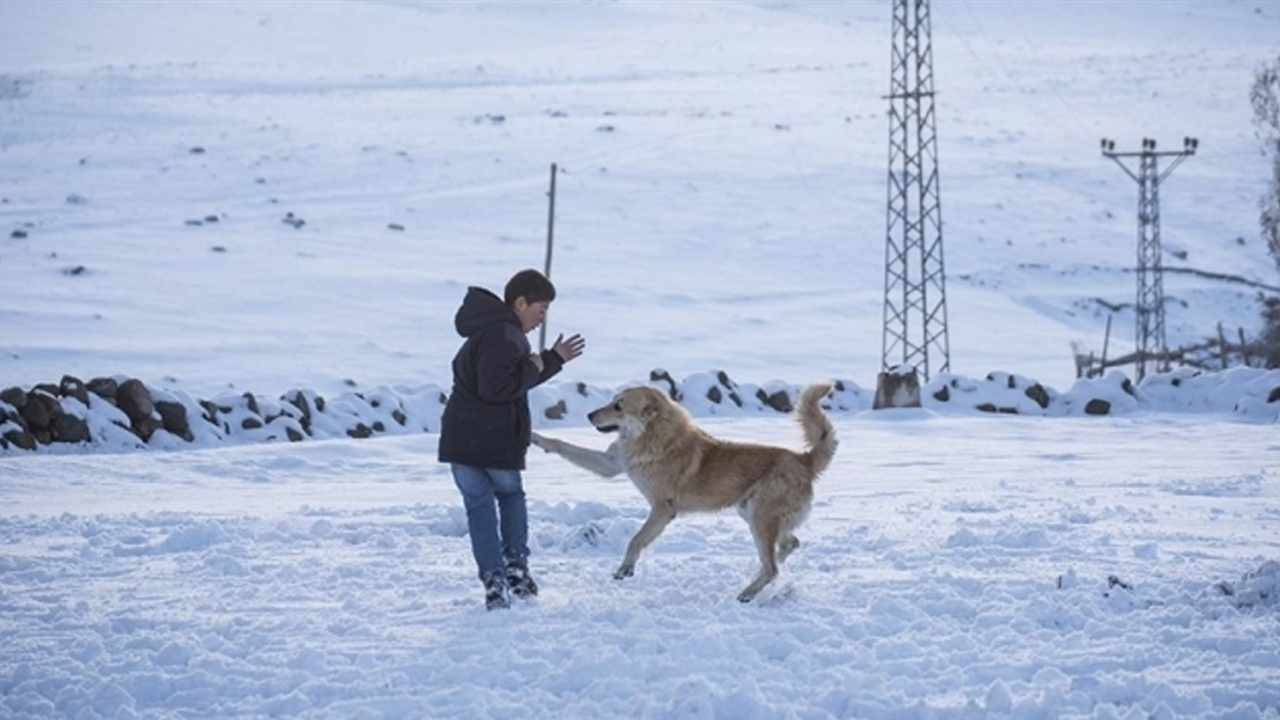 Türkiye ilkbahara girdi ama o şehir hariç!