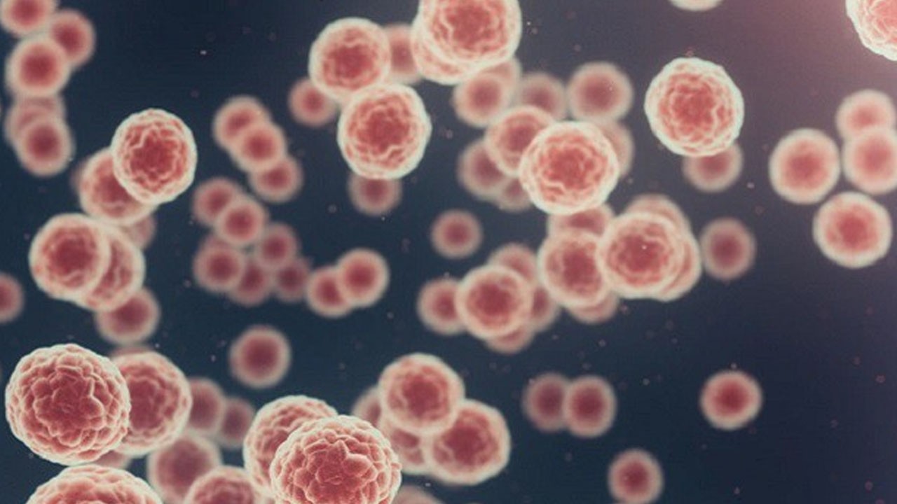 Türkiye kanser raporu: Ölüm oranlarının en yüksek olduğu iller açıklandı!