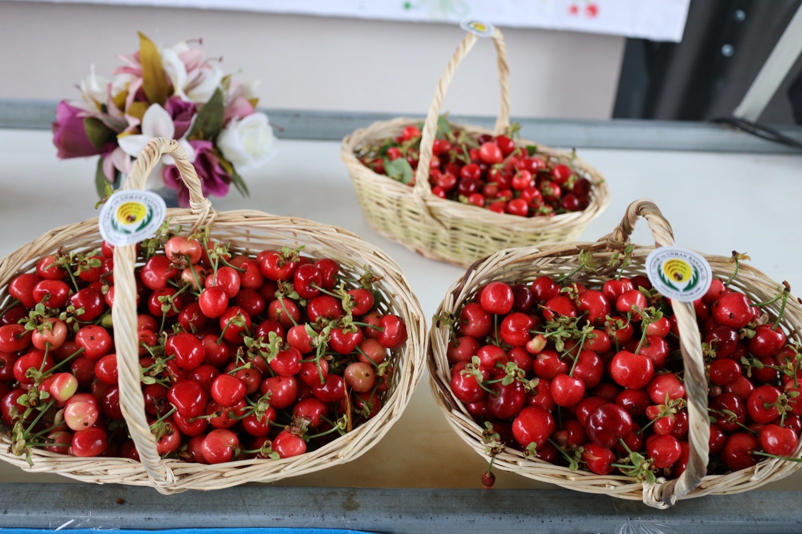 Türkiye kirazda hedef büyüttü