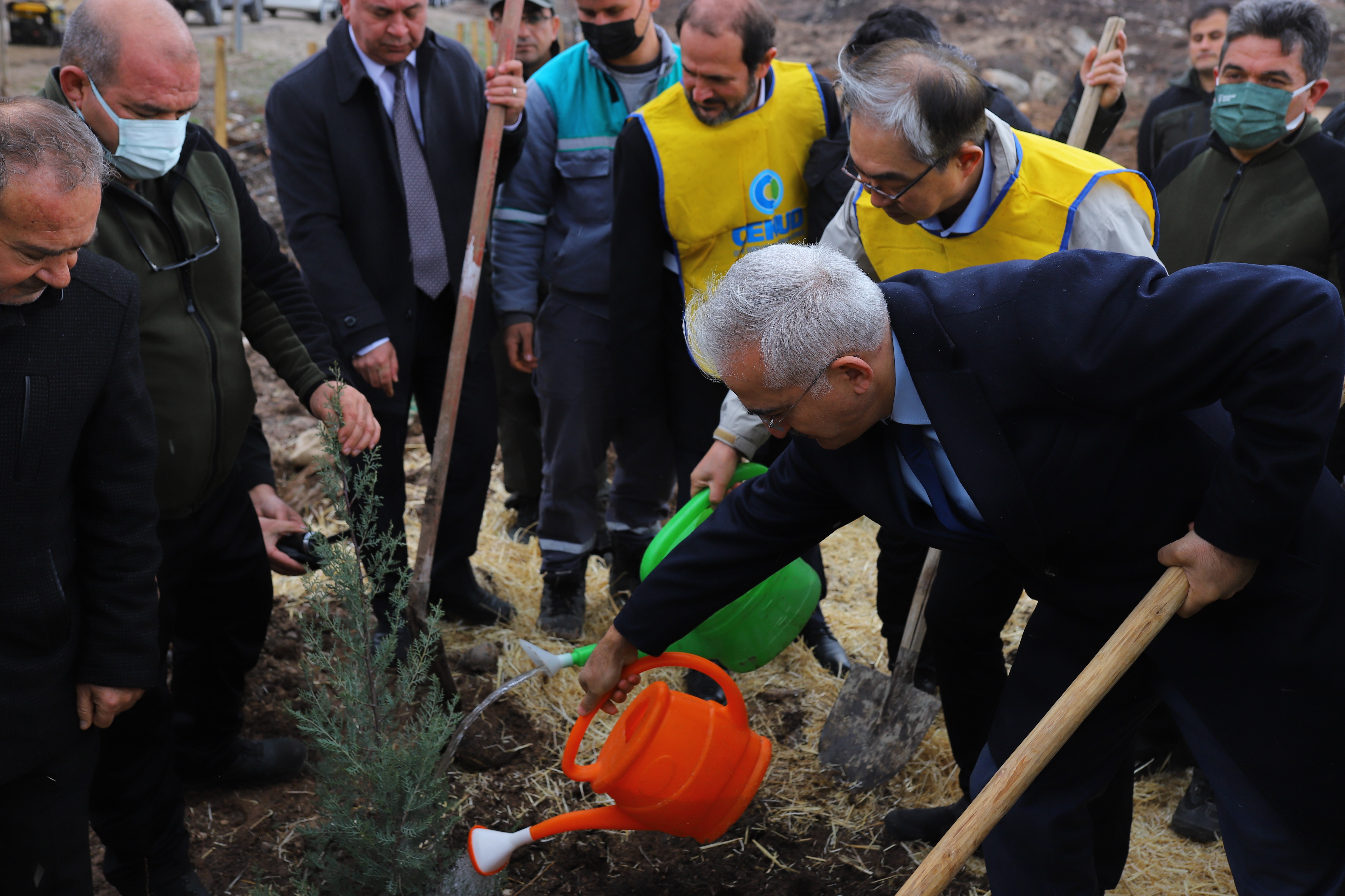 Türkiye - Kore dostluğu 580 bin fidanla kökleşti