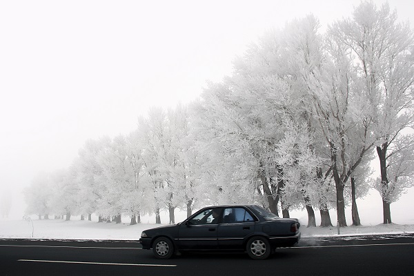 Türkiye mayıs ayında buz tuttu