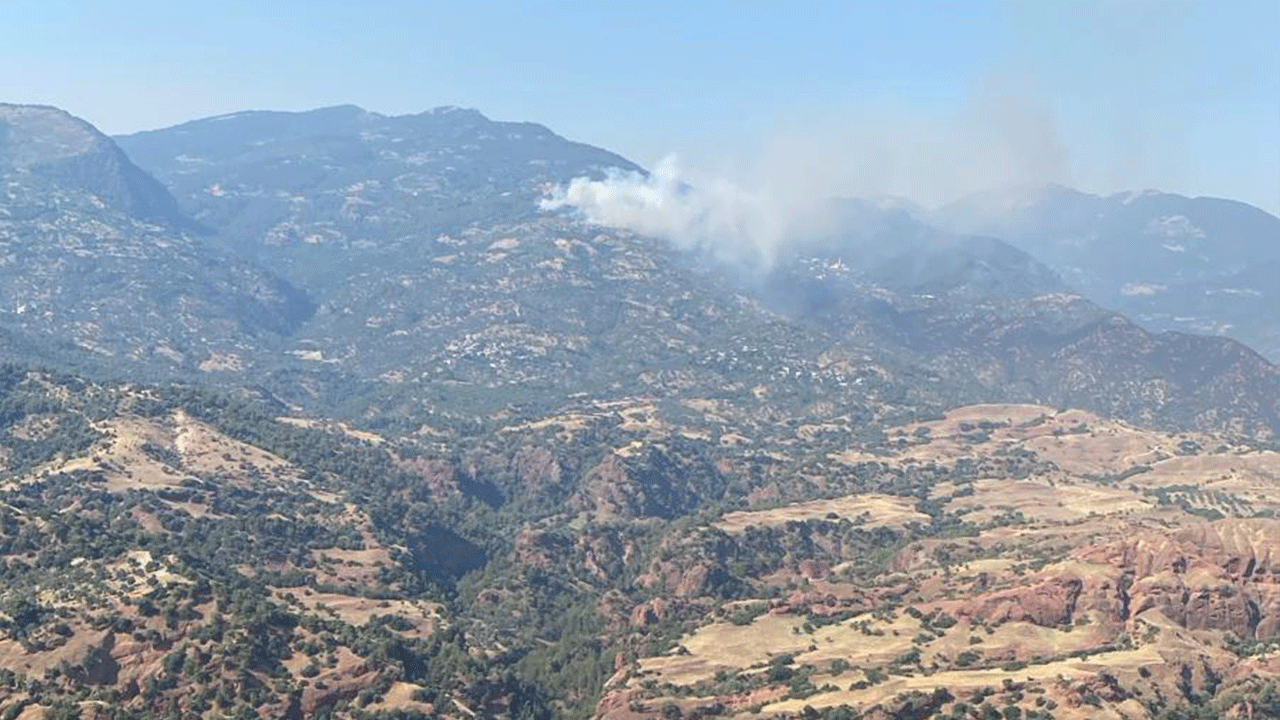 Türkiye nefes aldı! Bolu ve Aydın’daki yangınlar kontrol altına alındı!