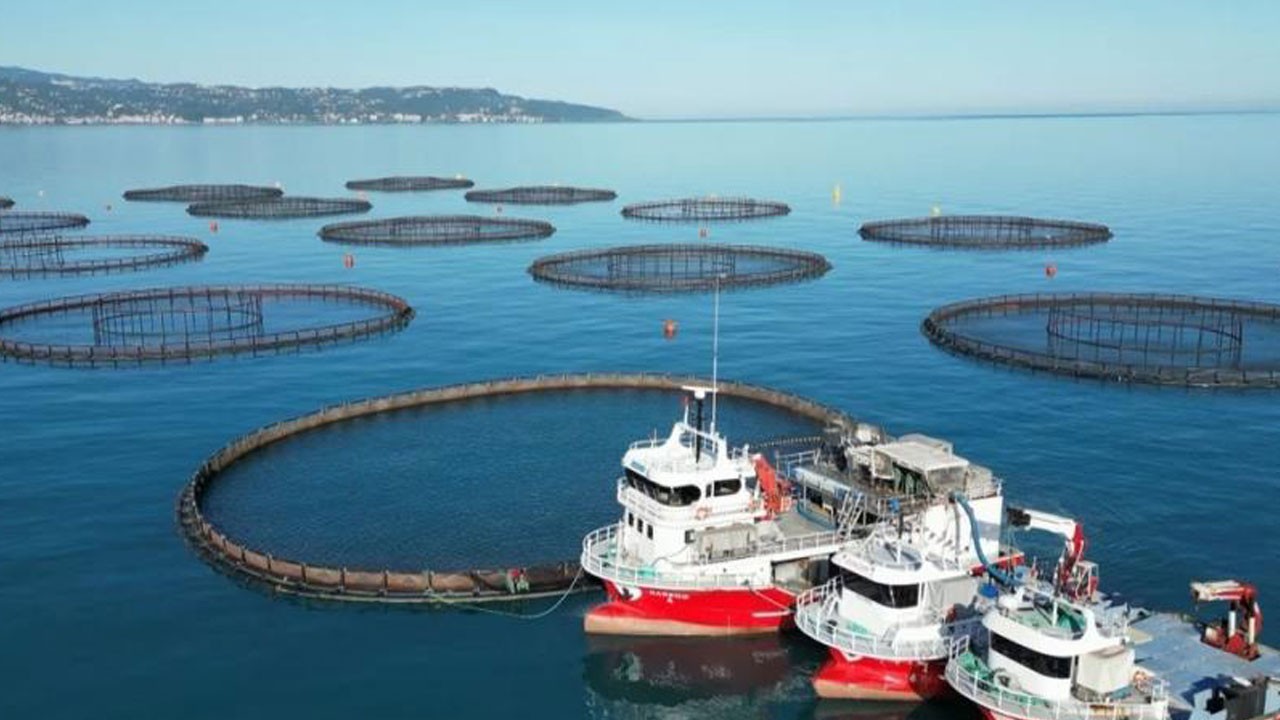 Türkiye, Norveç'i geride bıraktı! 4 ayda 117 milyon doları aştı