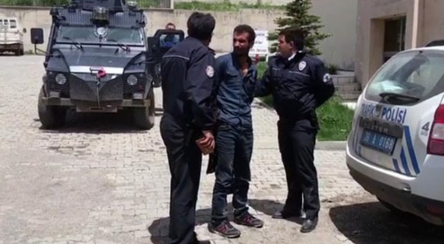 Türkiye onu konuşmuştu! Ağacın içinde enselendi