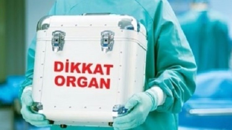 Türkiye, organ naklinde Amerika'yı geçti