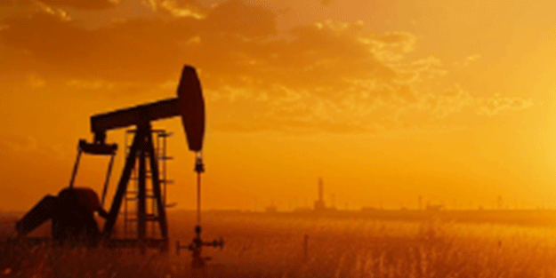 Türkiye petrol için oraya gidiyor! Ukrayna'yı yakalamamız an meselesi