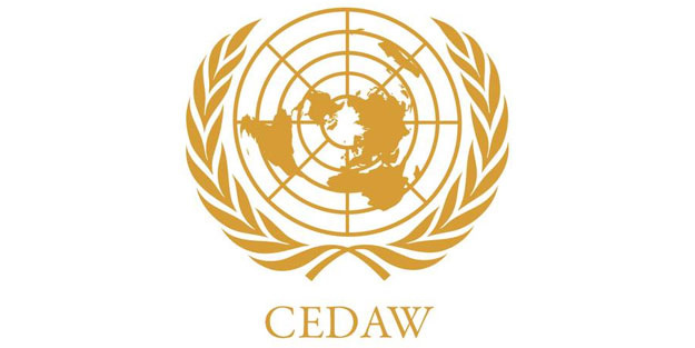 Türkiye raporu için toplanan CEDAW'dan teşekkür!