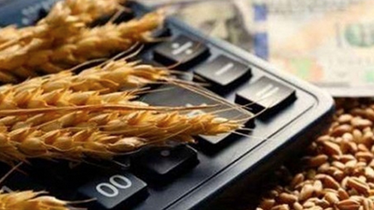 Türkiye, Rusya'dan buğday ithalatına yeniden başladı!