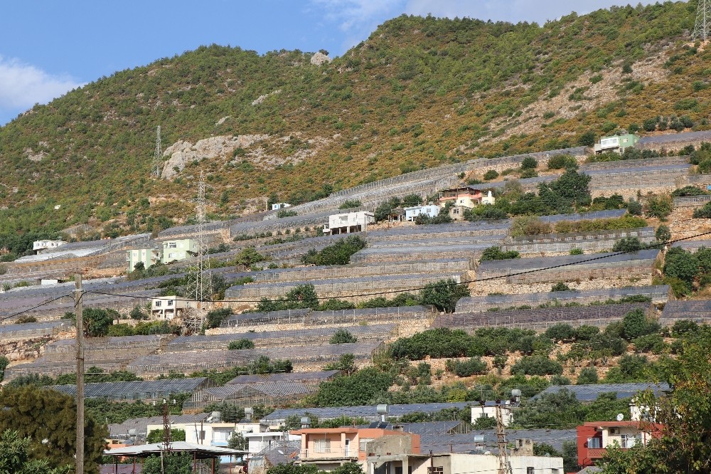 Türkiye seracılıkta dünya ile yarışıyor 