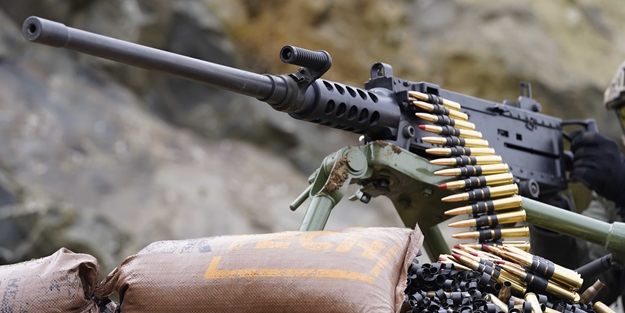 Türkiye tarihinde bir ilk! Tam 750 adet... Envantere girdi