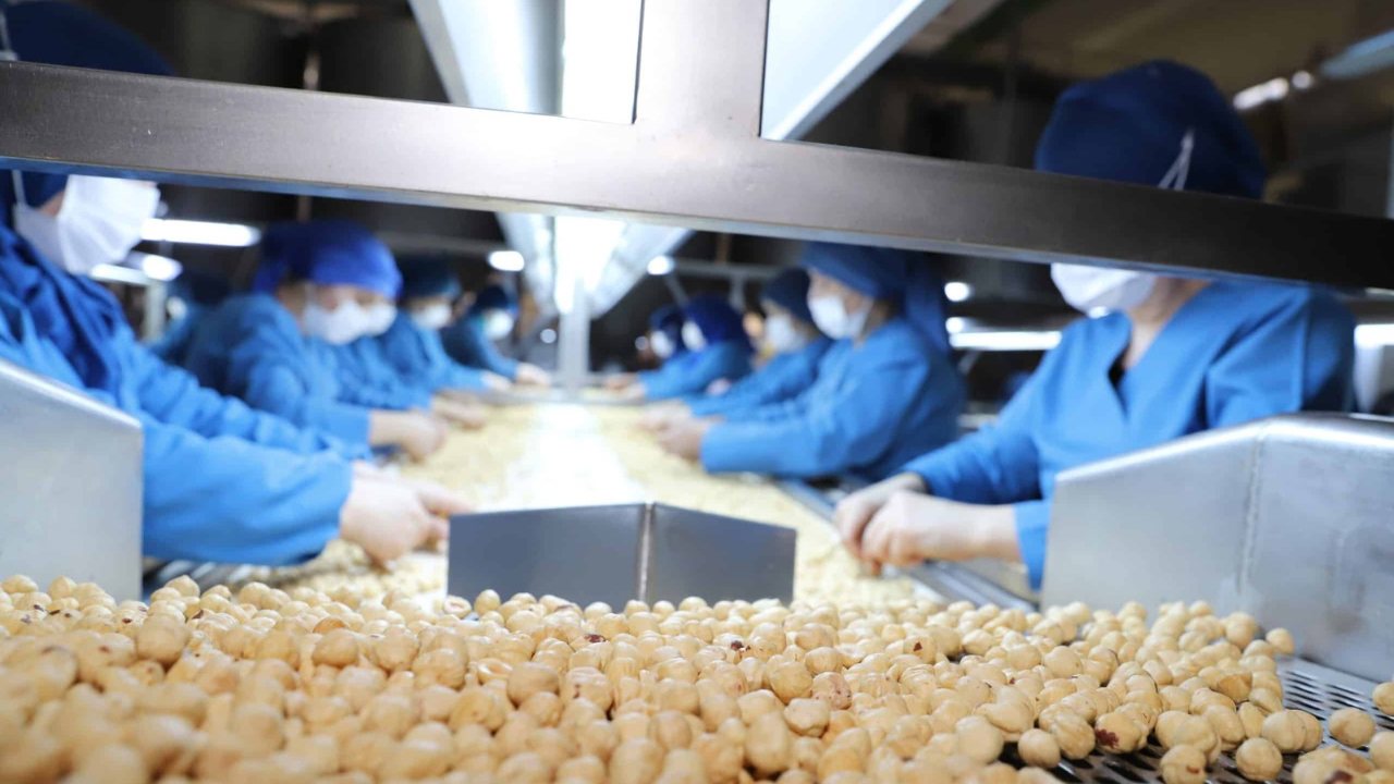 87 yıllık Türk şirketi iflasın eşiğinde! Taşınmazları ipotek gösterdi