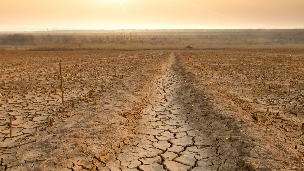 Tema Vakfı'dan önemli uyarı: Türkiye toprakları risk altında!