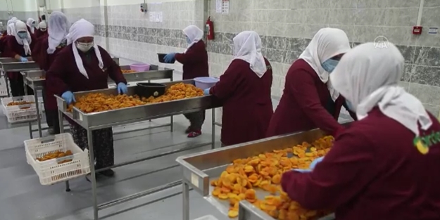 Türkiye üretiminde dünya lideri! 115 ülkeden sipariş yağıyor