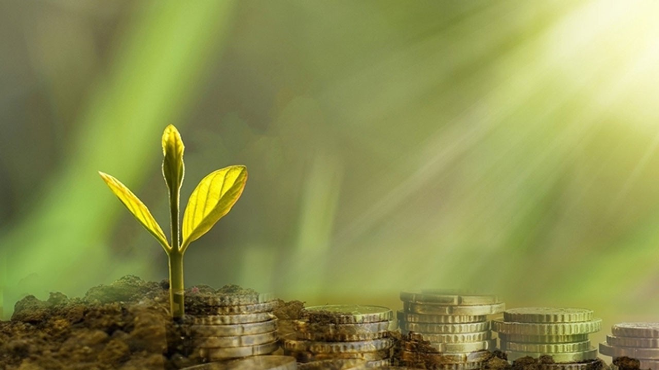 Türkiye ve Gana’dan enerjide güç birliği