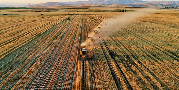 Türkiye ve Sudan'dan ortak tarım hamlesi... İmzalar atıldı