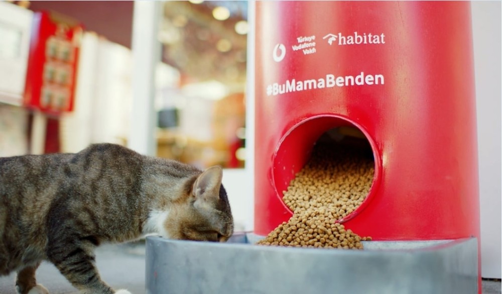 Türkiye Vodafone Vakfı’ndan ’Salgında sokak hayvanlarını unutma’ çağrısı 