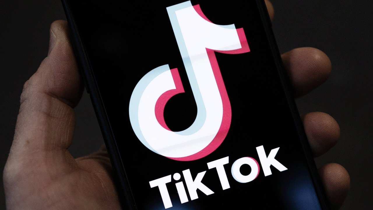Türkiye yapınca bizim sözde çağdaş solcular tepiniyor! Avrupa TikTok'a cezayı bastı